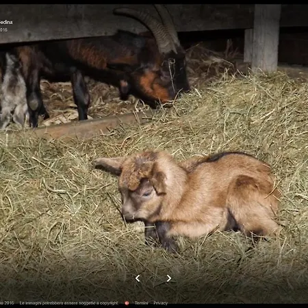 La Bedina ファームステイ Rivara