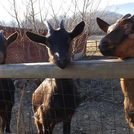 Farm stay La Bedina Rivara