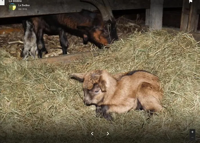 La Bedina Κατάλυμα σε φάρμα Rivara