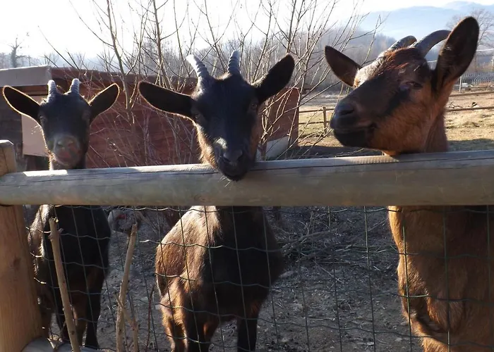 Κατάλυμα σε φάρμα La Bedina Rivara